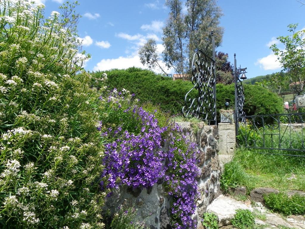 Le Cabanon Bed & Breakfast Thueyts Dış mekan fotoğraf